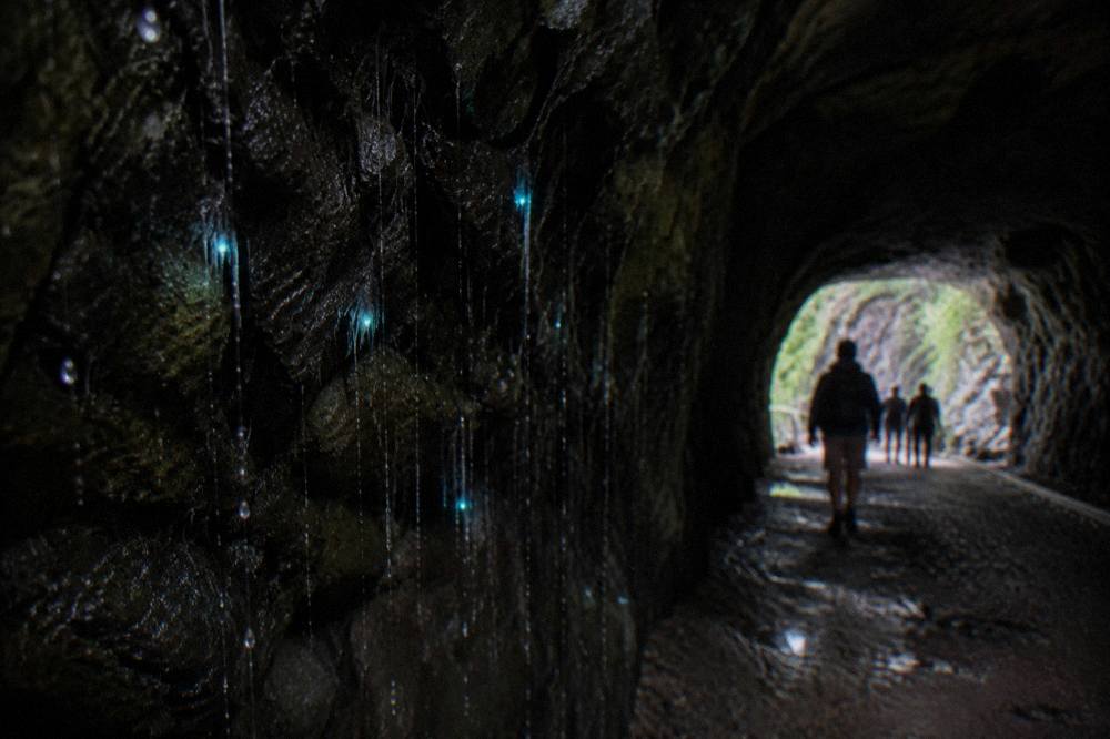 Close view of glowing silk threads hanging from a dark rock surface