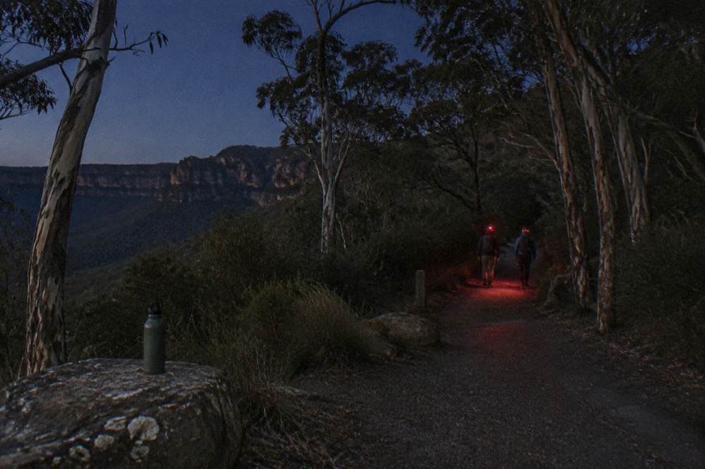 Visitors standing quietly on a bush track at night with red headlamp beams pointed at the ground
