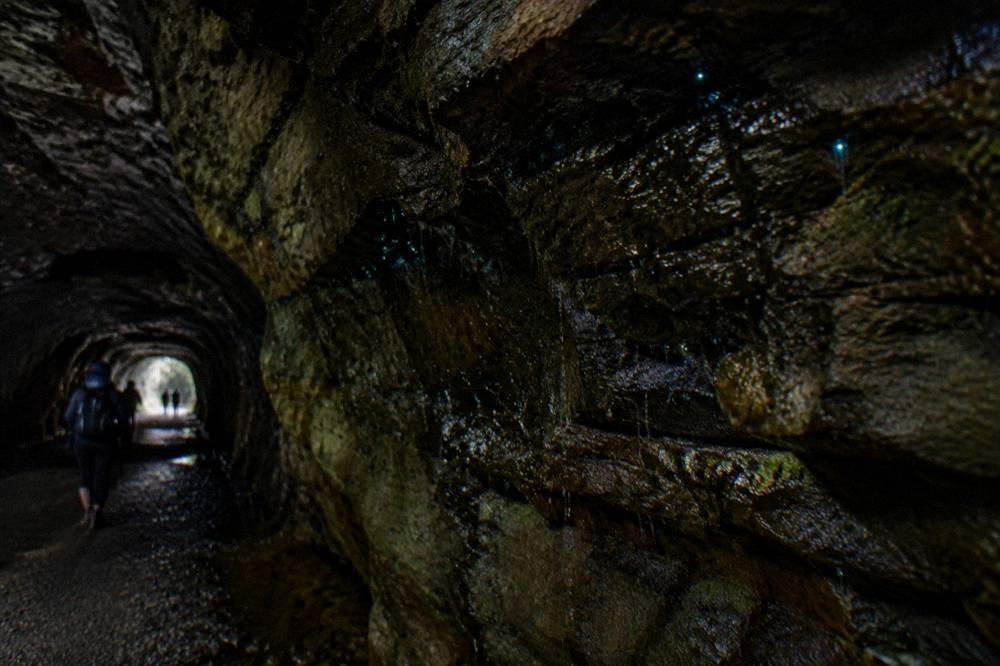 Close view of a damp cave wall where dozens of tiny blue-green points of light cluster on the rock