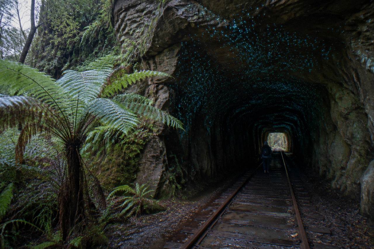 A dark sandstone railway tunnel in the bush where tiny blue-green lights of native glow worms cover the damp ceiling