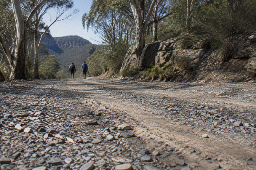Gravel forest road surface with loose stones and tyre tracks running between eucalypt trunks