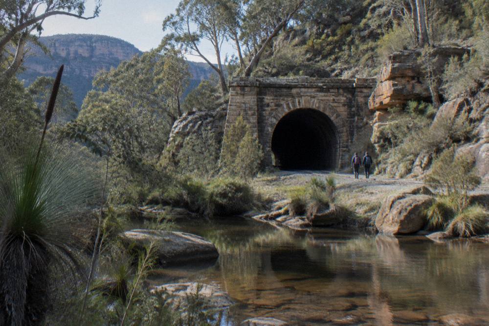 The stone portal of a long disused railway tunnel surrounded by dry eucalypt forest in Wollemi National Park
