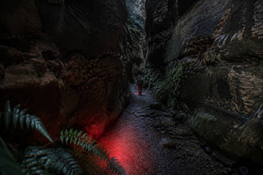 A narrow sandstone canyon at night lit faintly by a red headlamp beam on a bush track