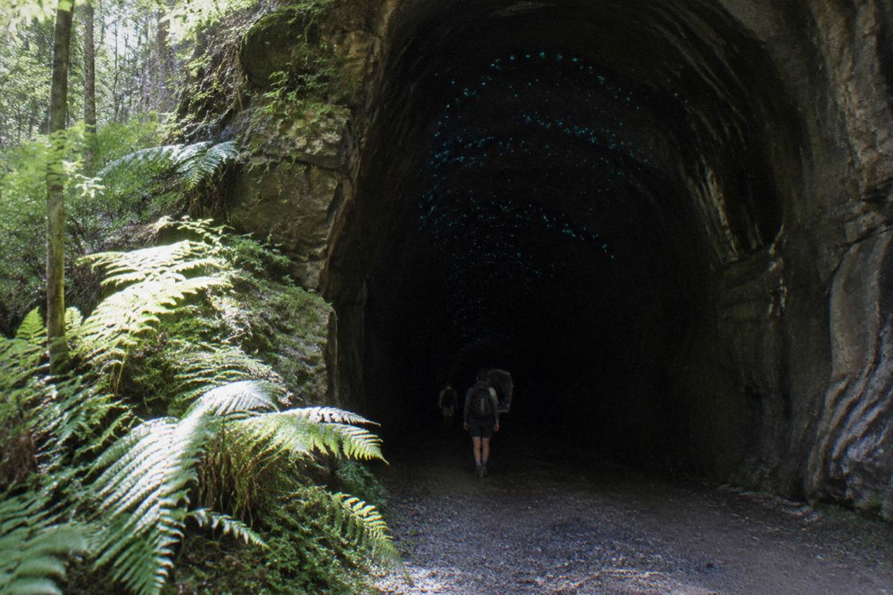 A long dark abandoned railway tunnel in Wollemi National Park with faint blue-green lights along the ceiling
