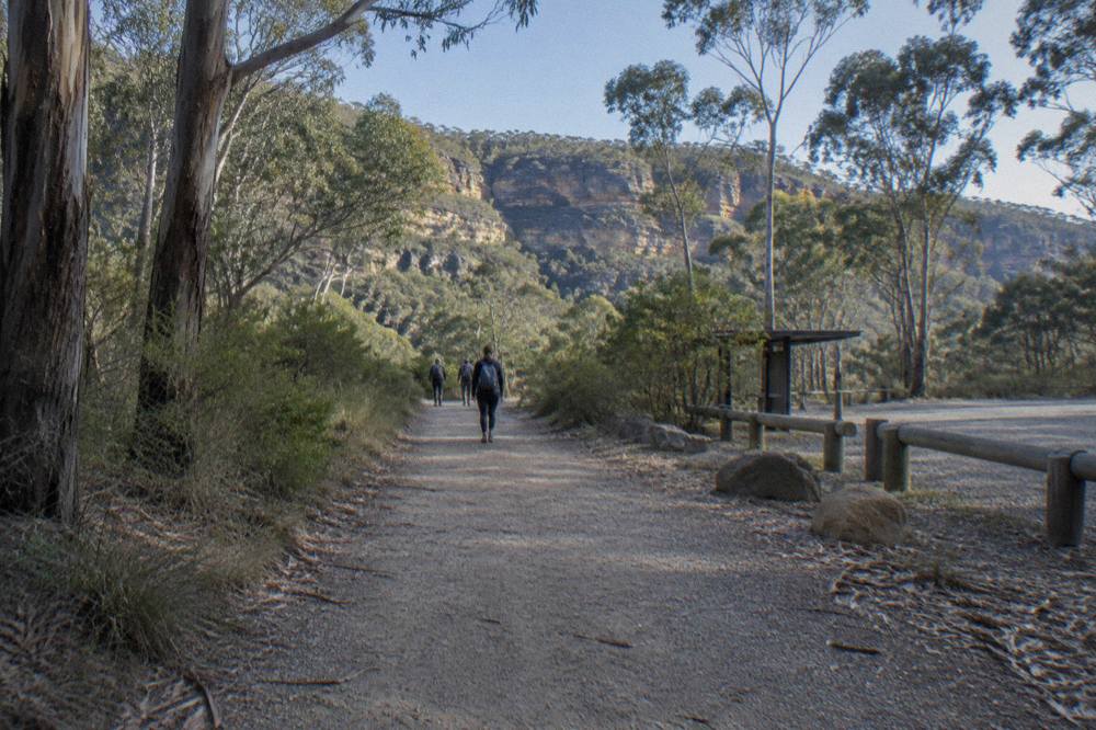 A gravel walking track through dry eucalypt forest leading toward a sandstone cliff line in Wollemi National Park.