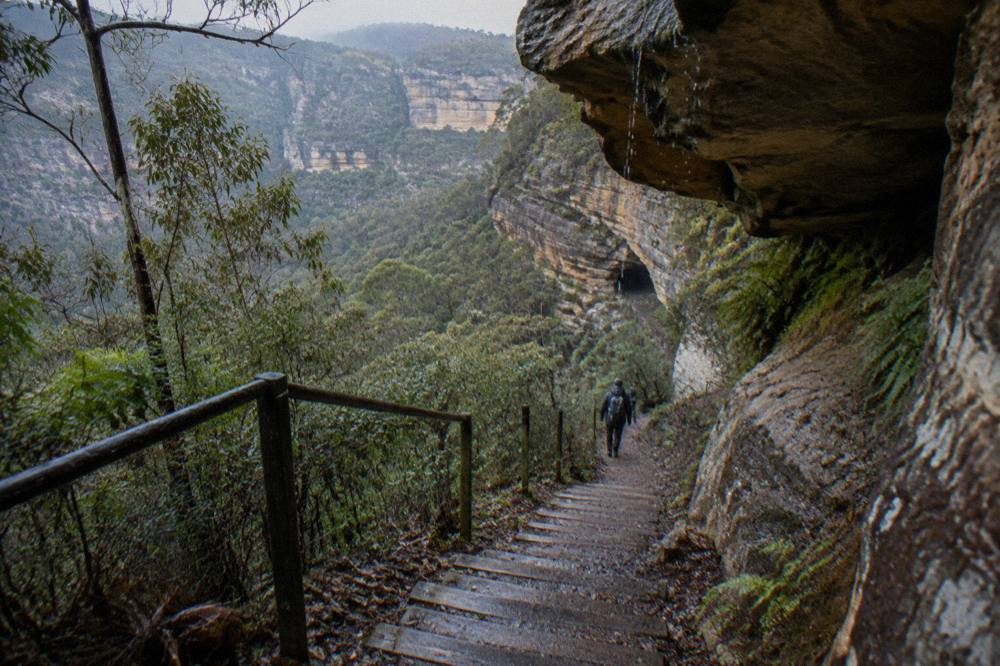 A narrow bush track with timber steps descending through sandstone gorge country