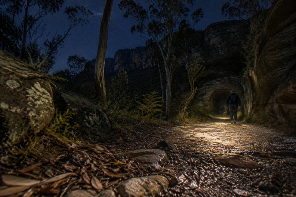 A headlamp beam lighting a rocky bush track at night with tall eucalypt forest above