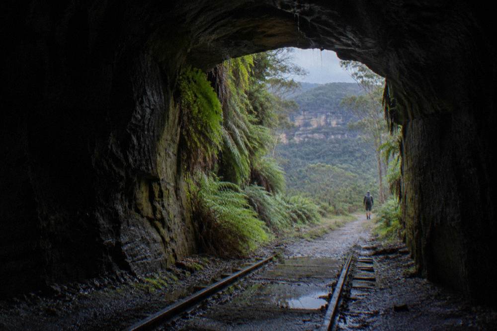 A stone railway tunnel mouth framed by ferns and damp rock in a shaded gorge