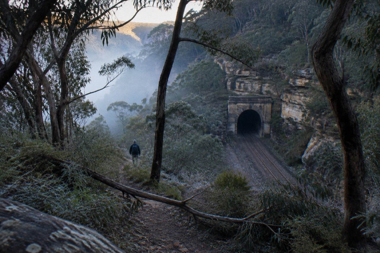 A sandstone railway tunnel entrance surrounded by dark bushland in Wollemi National Park
