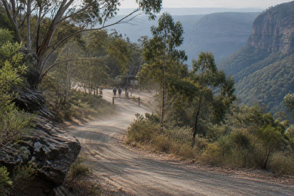 Gravel access road winding through dry eucalypt forest toward the Glow Worm Tunnel carpark