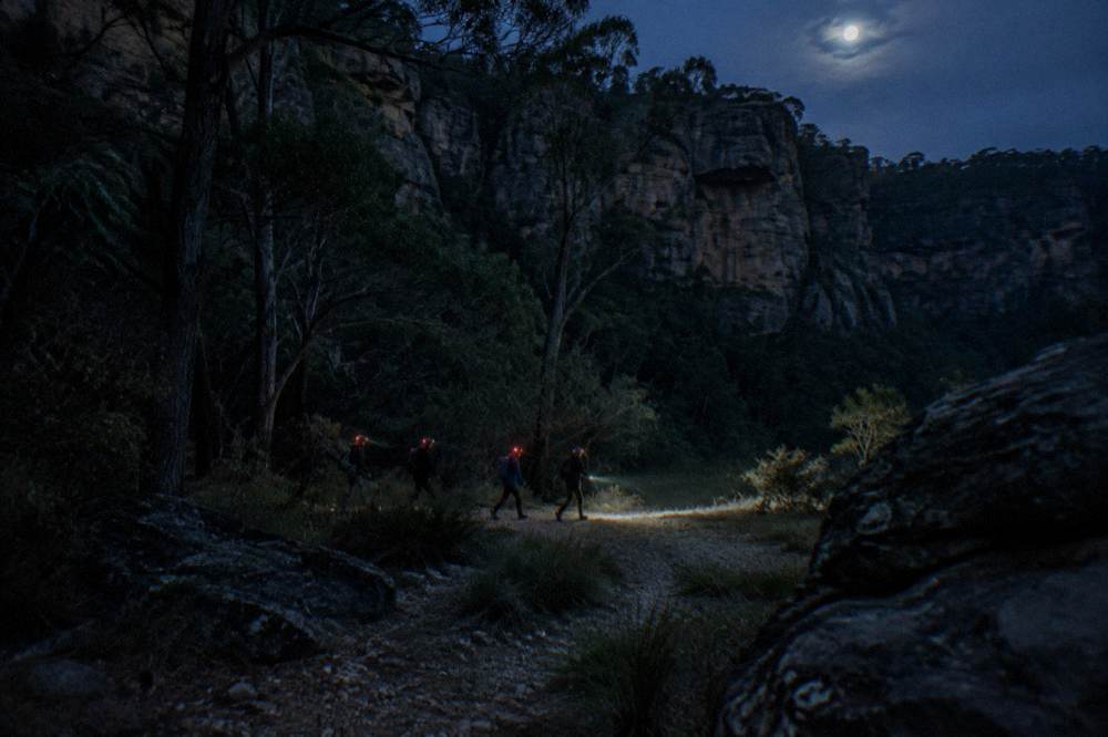 Small group of walkers with headlamps following a guide along a dark bush track at night