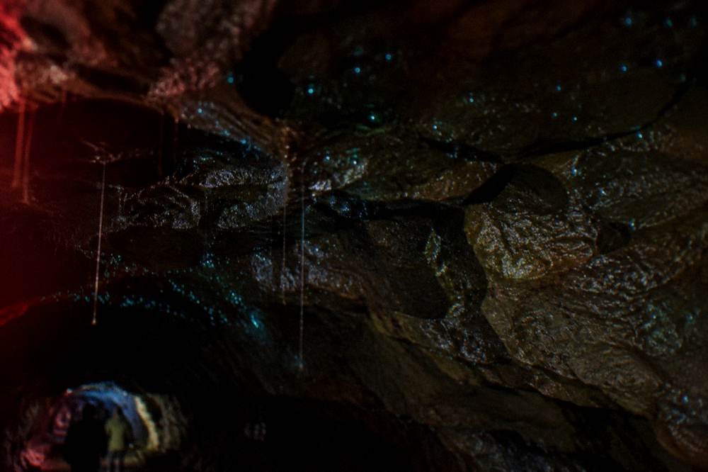 Close view of a damp rock ceiling with dozens of faint blue-green points of light in darkness