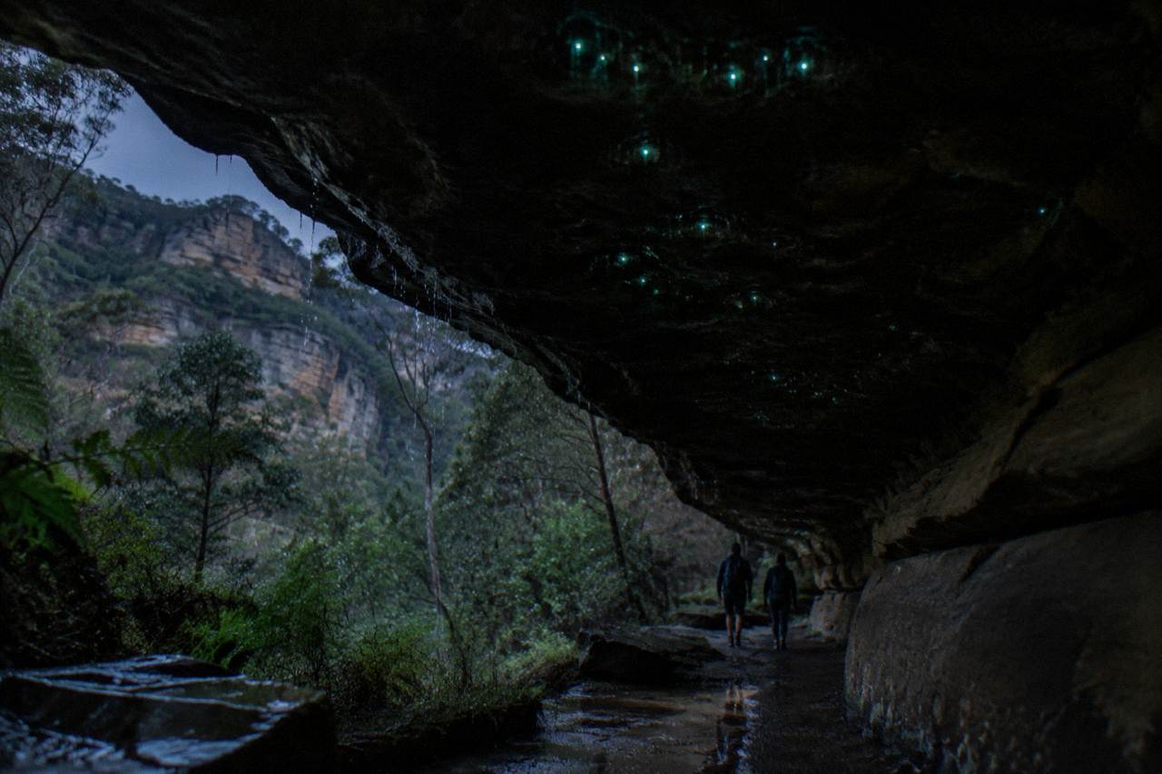 A dark sandstone overhang in a damp Blue Mountains gully with faint green lights along the ceiling