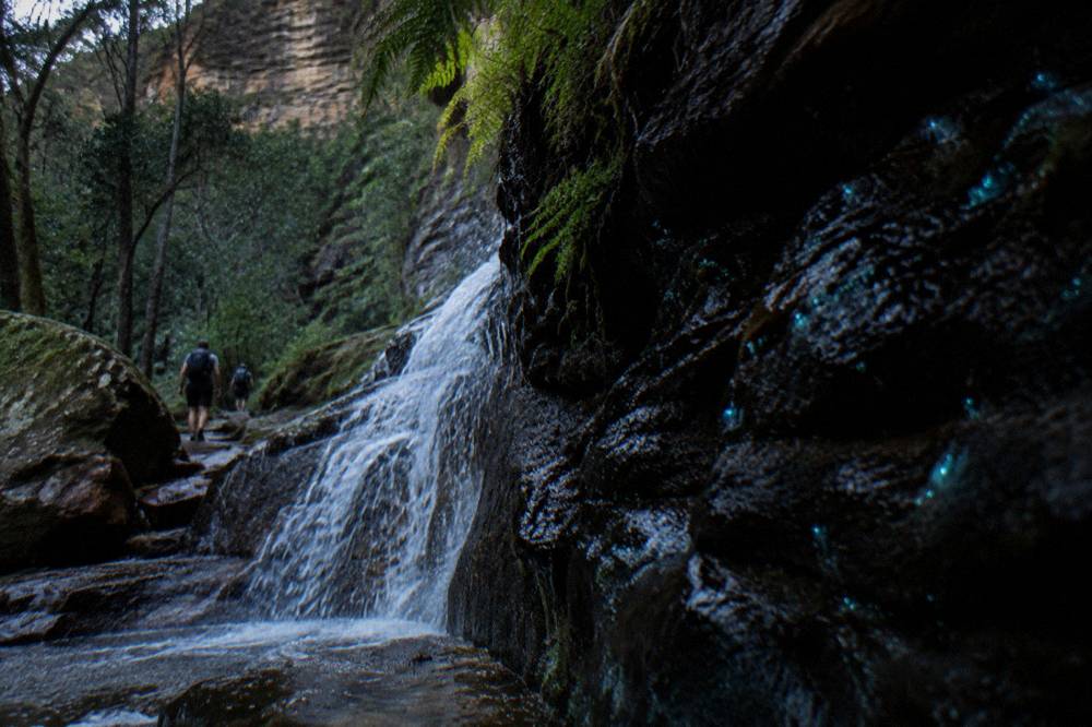 Blue-green points of glow worm light scattered across a dark rock surface beside a small waterfall