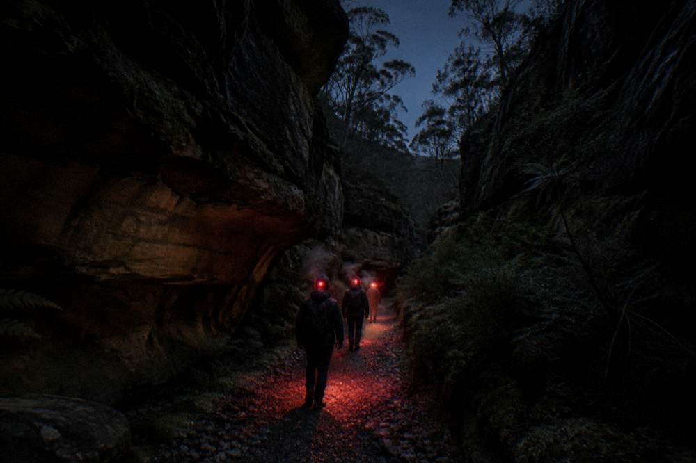 A small group of hikers with red headlamps walking a dark bush track between sandstone walls