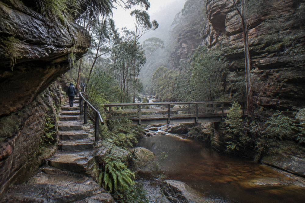 Stone steps descending through a narrow sandstone gorge with a timber bridge below