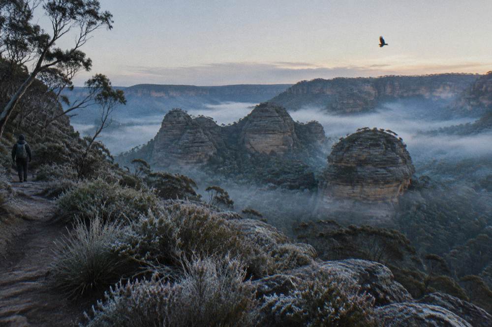 Sandstone pagoda rock formations standing above forest on the Newnes Plateau at dusk
