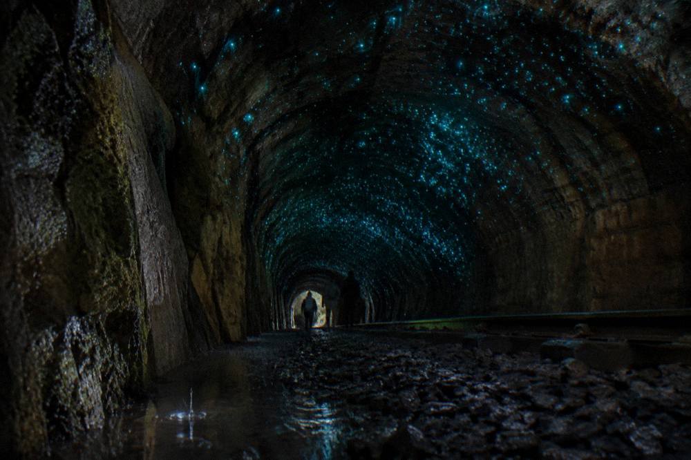Glow of tiny blue-green lights scattered across the damp ceiling of a dark tunnel