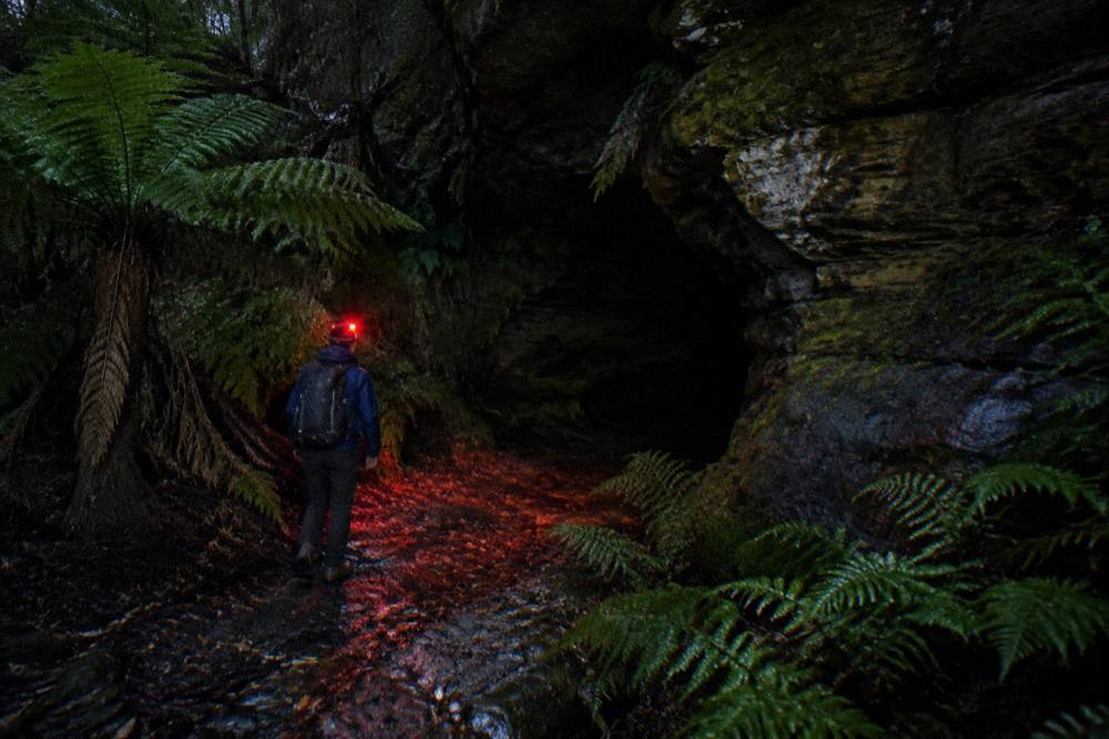 Red headlamp glow on a dark bush track leading to a cave entrance at night
