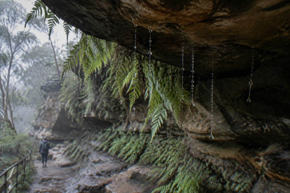 Fine silk threads with small droplets hanging from a damp rock overhang lit faintly from below