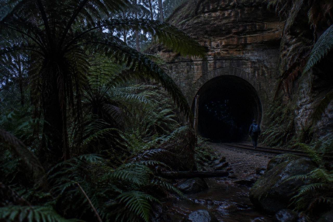 Dark railway tunnel entrance surrounded by damp ferns and sandstone cliffs in a national park at dusk