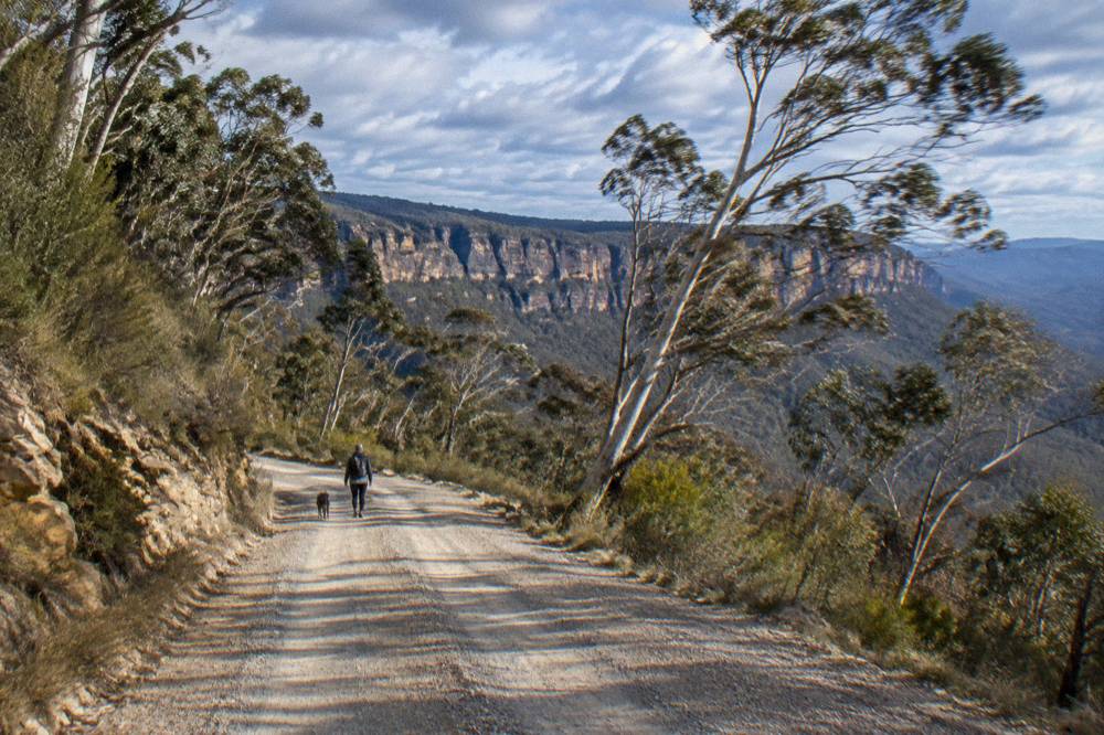 Unsealed gravel road winding through dry eucalypt forest toward sandstone cliffs