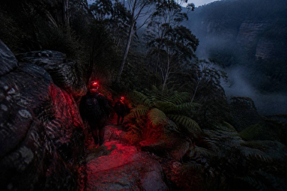 A narrow bush track at night with red headlamp light falling on sandstone and tree ferns
