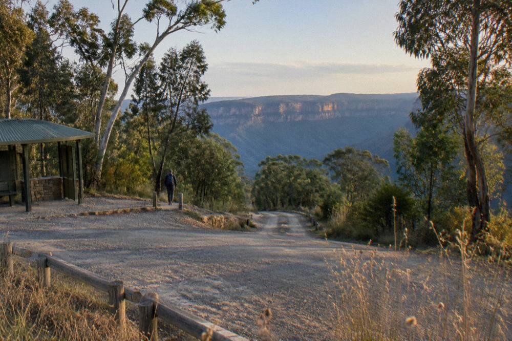 A gravel road winding through dry eucalypt forest toward a distant sandstone plateau