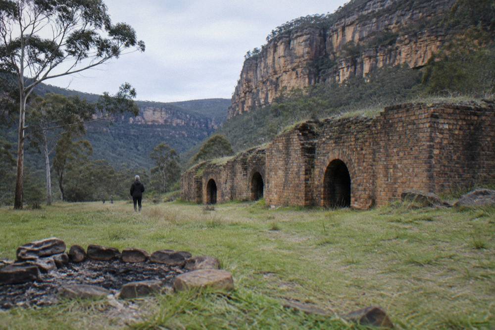 Sandstone cliff walls rising above a forested gorge in Wollemi National Park