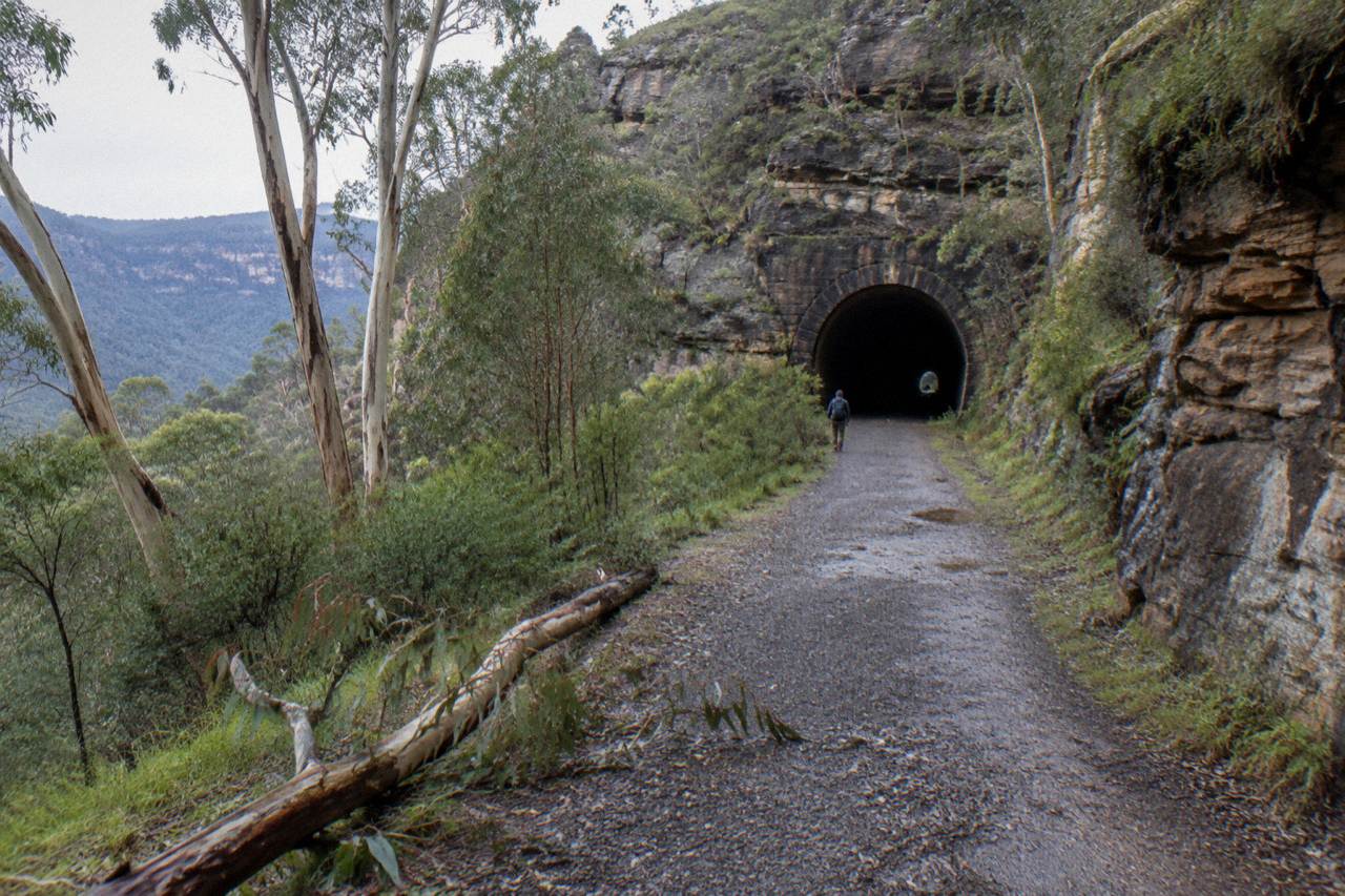 The bush track approaching a dark railway tunnel entrance in Wollemi National Park