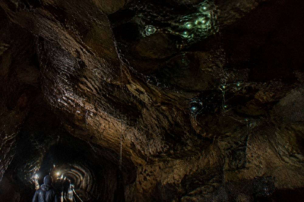 A cluster of small glowing lights on a dark wet rock surface inside a cave