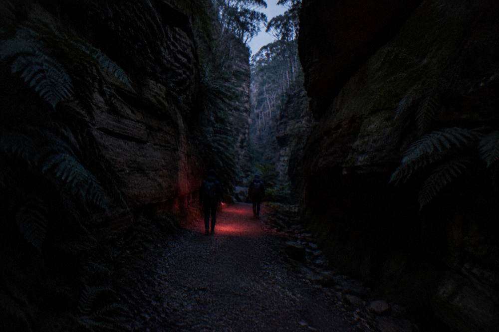A walking track at night lit by a dim red torch pointed at the ground