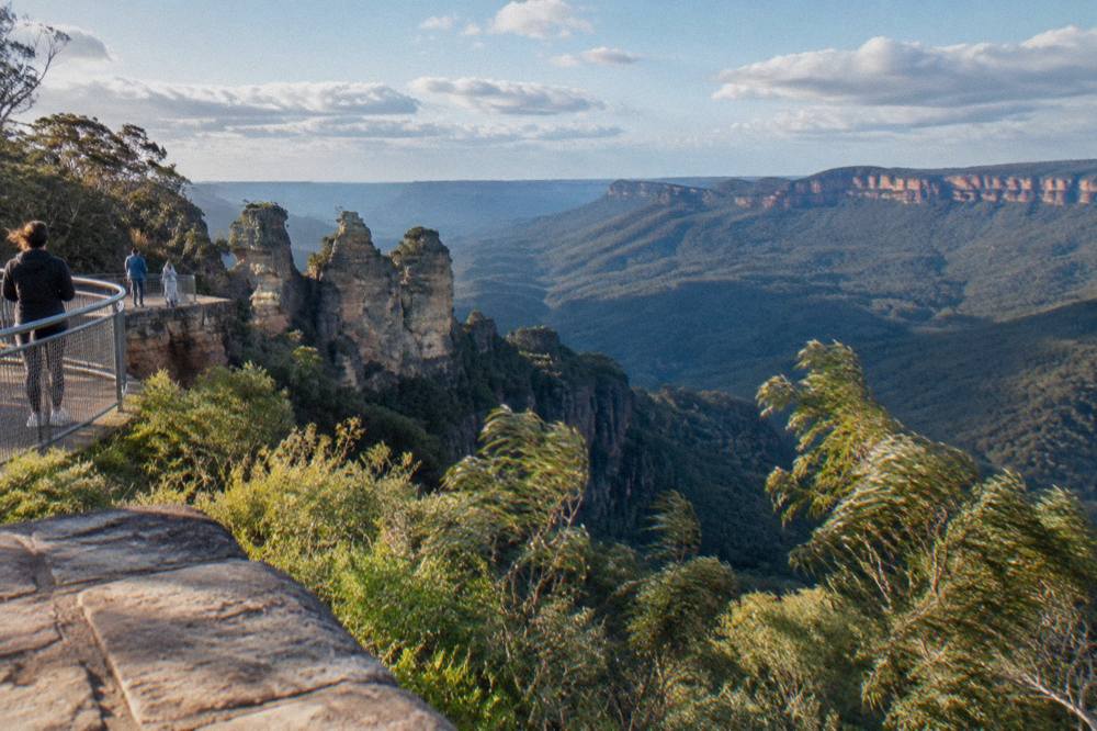 Deep forested valley with sandstone cliffs in the Blue Mountains