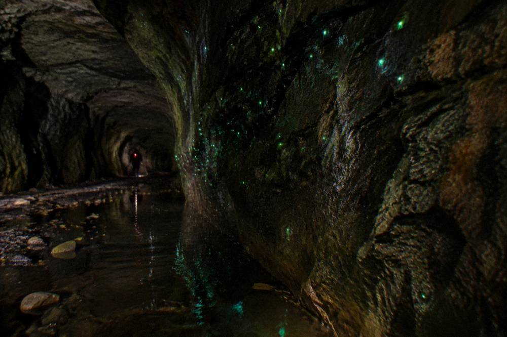 Green points of light scattered across a dark wet rock surface inside a cave