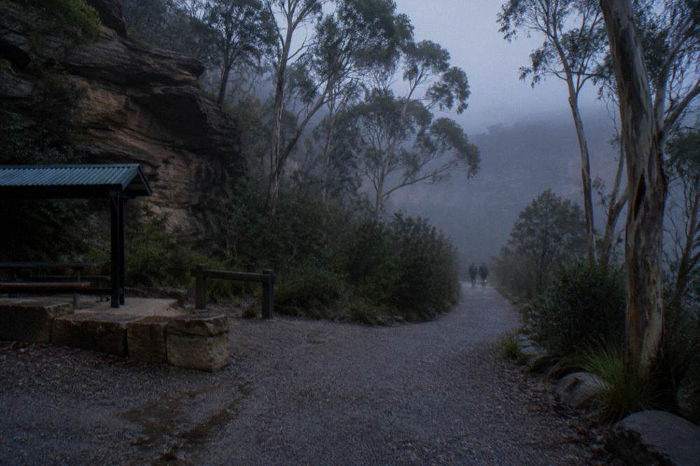 A misty eucalypt forest trail at dusk in the Blue Mountains with a gravel path curving away