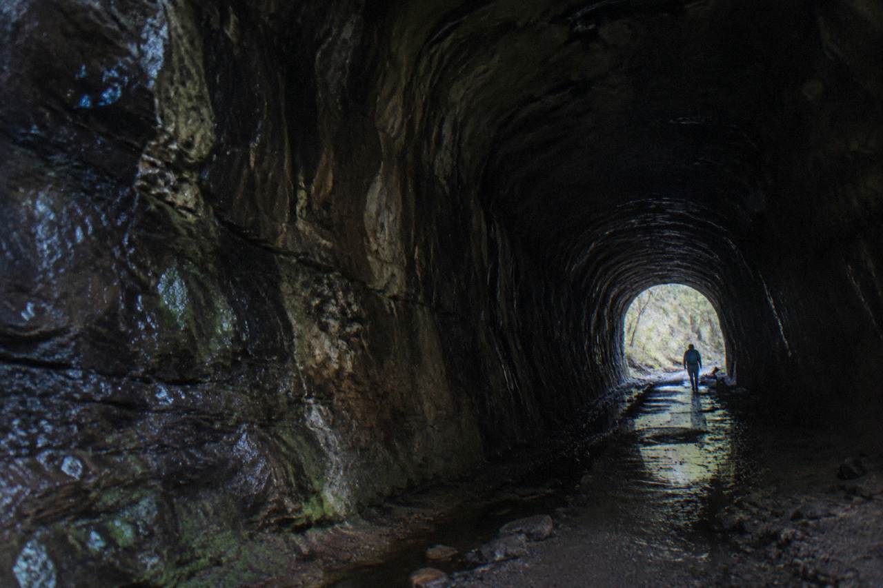 A dark sandstone railway tunnel in the Blue Mountains bush with faint green light along its walls
