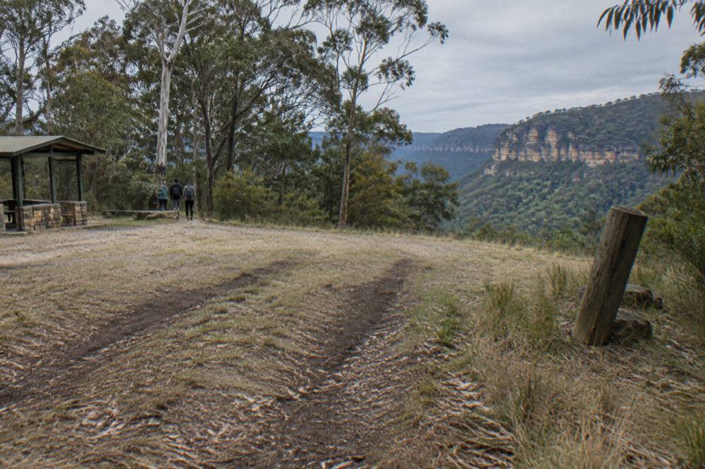 Gravel forest road with tyre tracks leading toward a small dirt carpark clearing