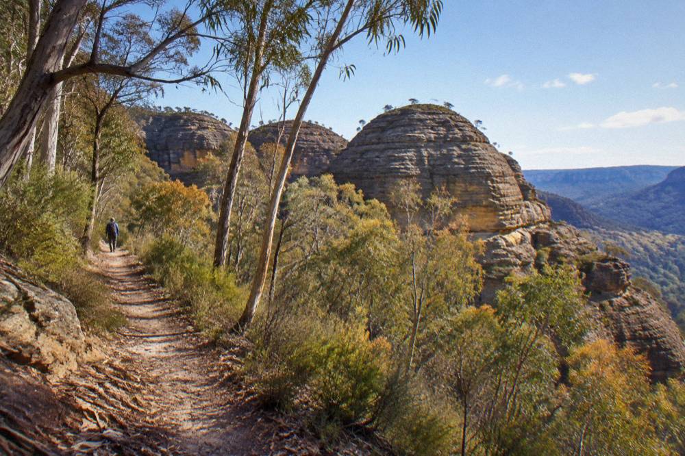 Sandstone pagoda rock formations along a bushwalking track in Wollemi National Park