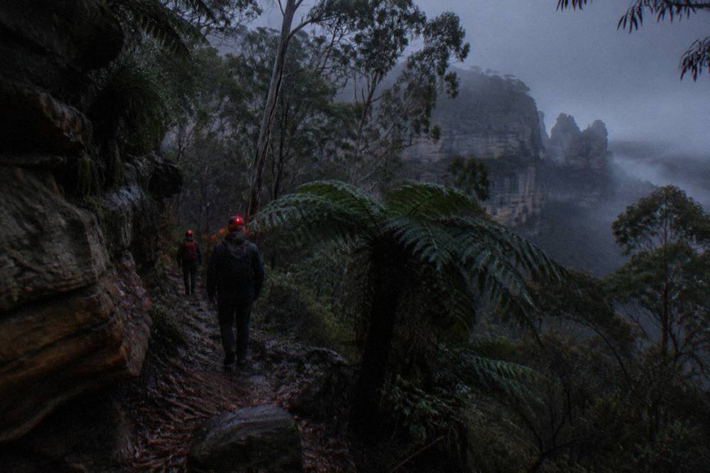 Headlamps glowing along a bush track at night with sandstone cliffs and tree ferns beside the path