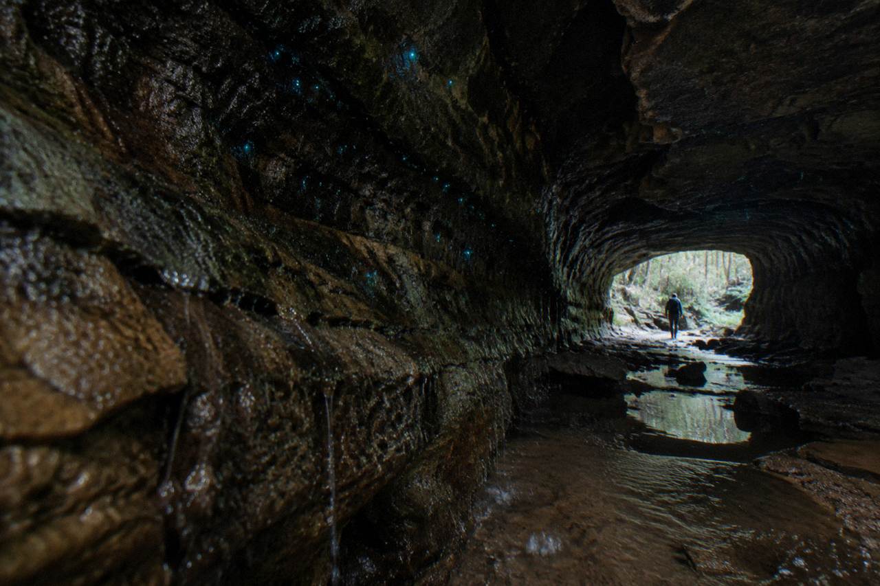 Glow of blue-green lights scattered across a dark sandstone tunnel ceiling in a national park at night