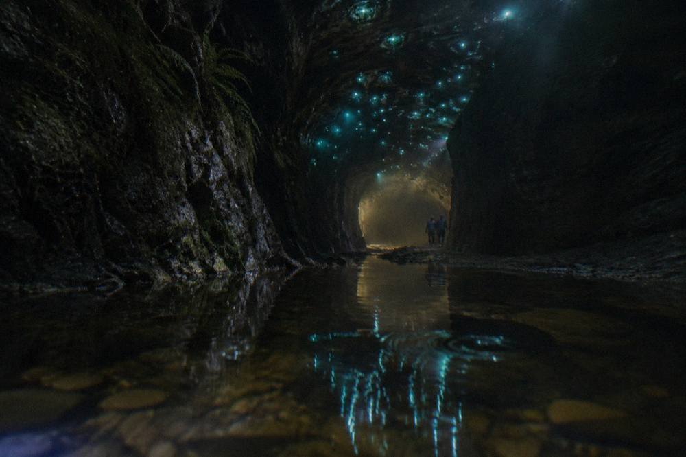 A cluster of tiny blue-green lights glowing on a wet rock surface in darkness