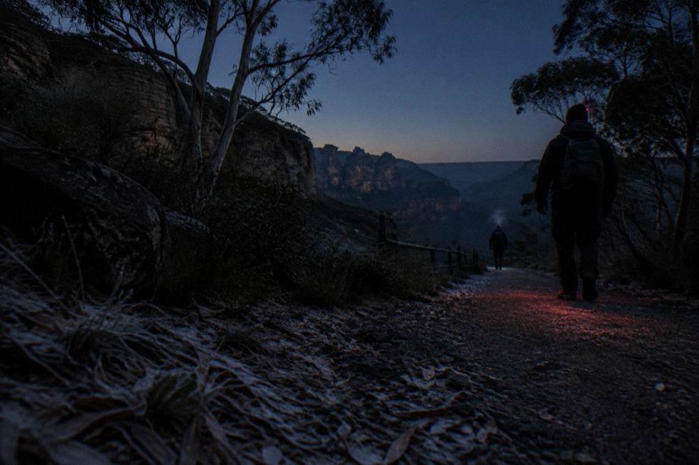 A walking track at night lit dimly by a red headlamp on the ground