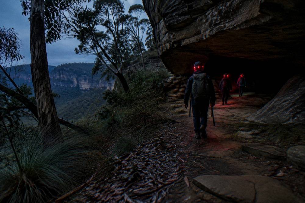 A small group with headlamps walking a bush track at night toward a rocky overhang