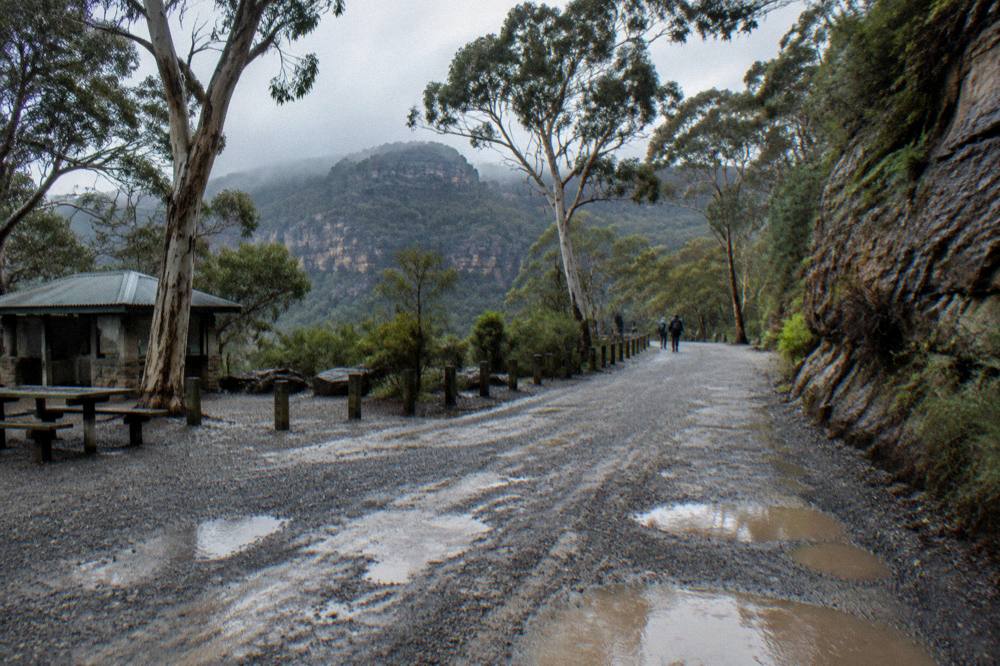 Wet gravel road winding through forested plateau country under an overcast sky