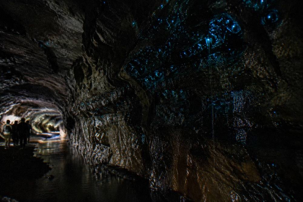 Blue-green points of light clustered on a dark rock surface above still water
