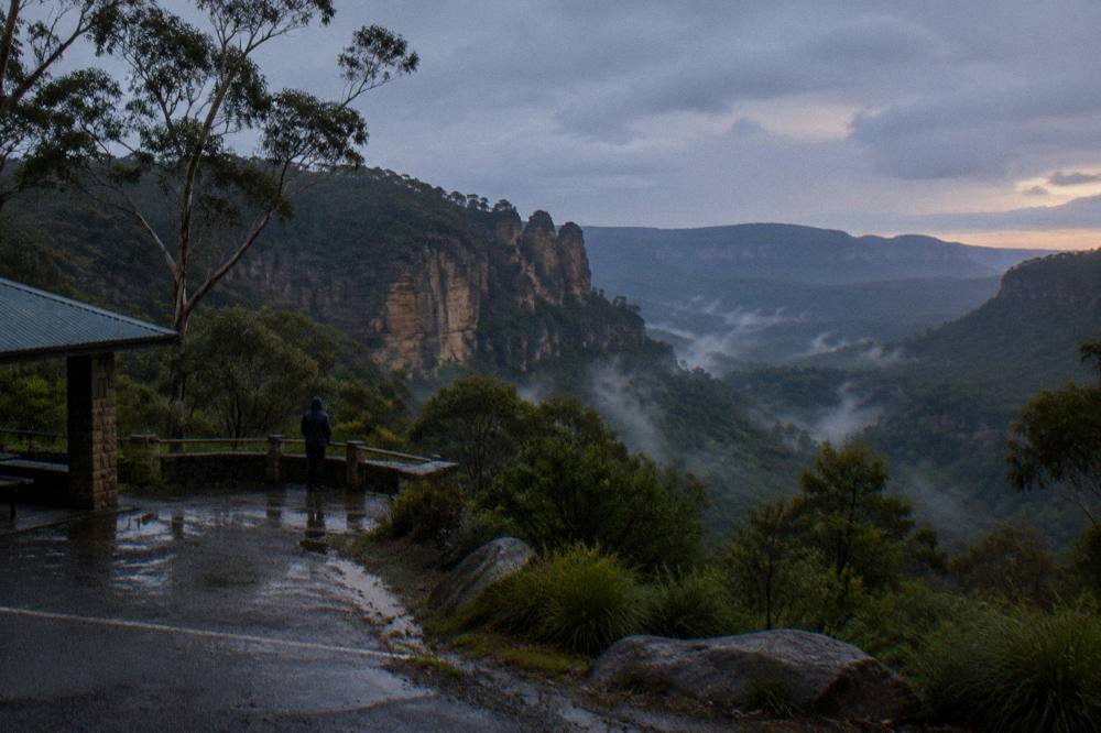 A dark forest valley at dusk with the last light fading over sandstone cliffs