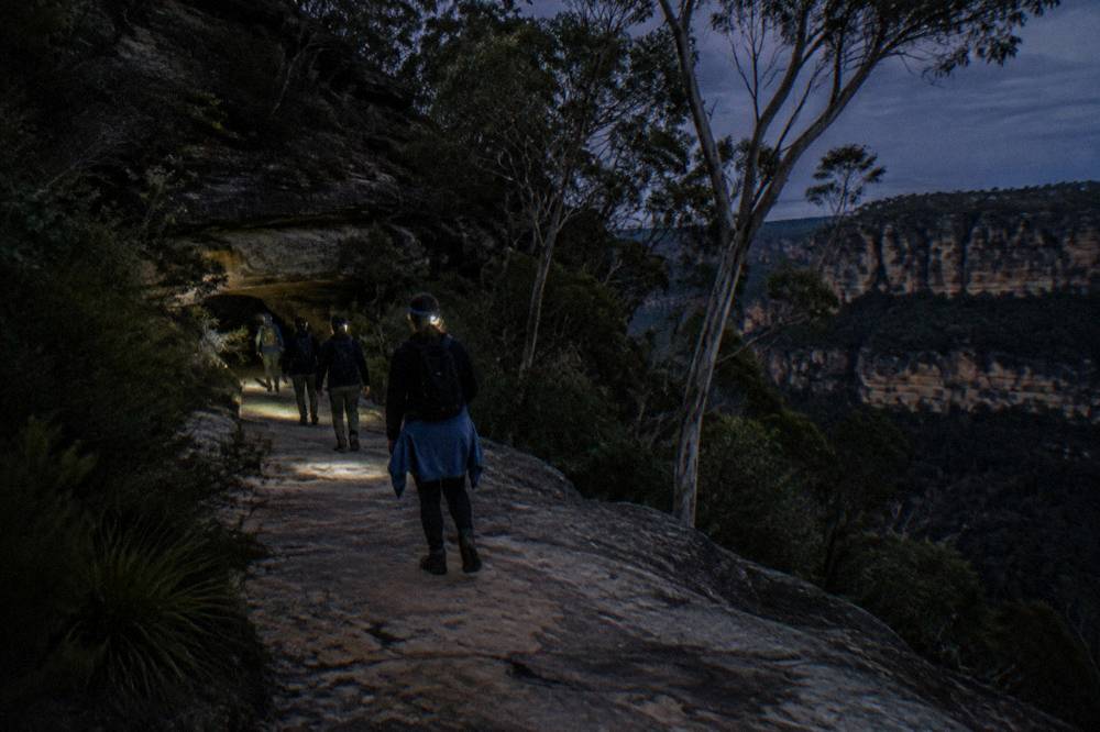 A small group of walkers with headlamps on a bush track at night