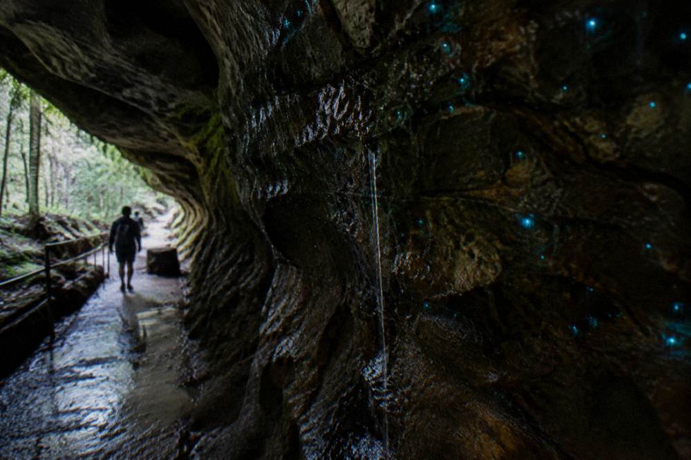 Close view of a wet sandstone cave wall dotted with small points of blue-green light