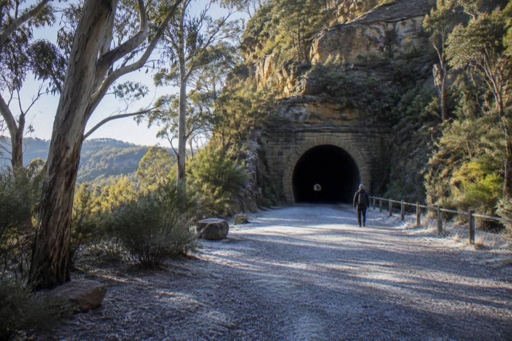 A disused railway tunnel entrance set into bush-covered sandstone cliffs