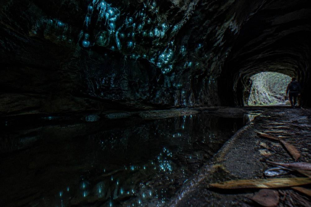 Blue-green points of light clustered on a dark wet rock surface in a cave